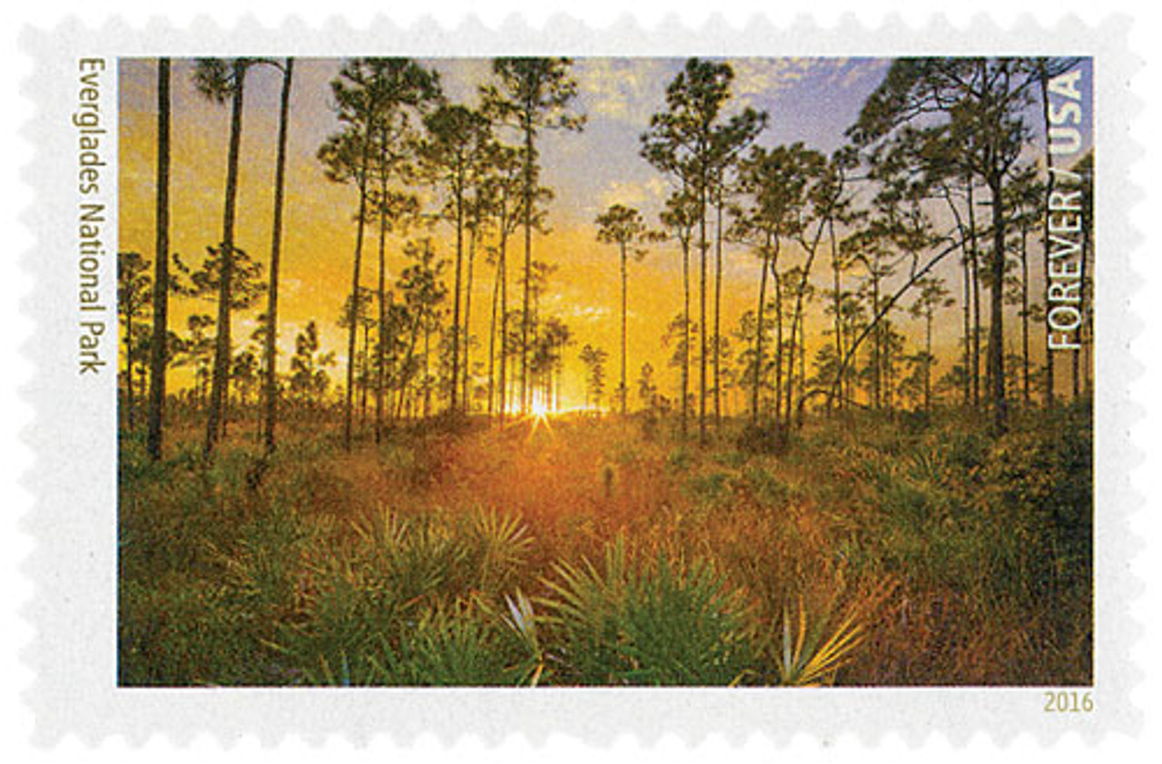 5298s - 2018 First-Class Forever Stamp - Canaveral National Seashore,  Florida - Mystic Stamp Company