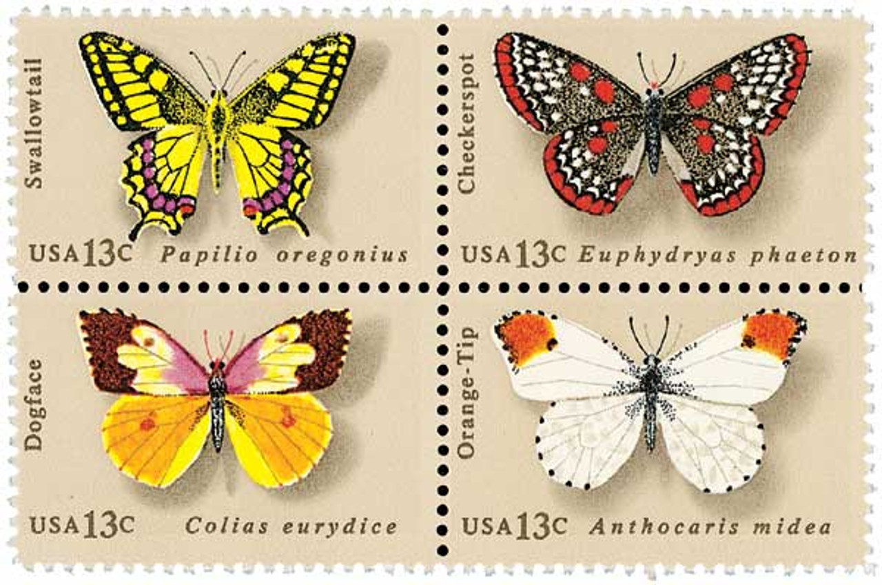 X-Large Tapa Butterfly Stamp