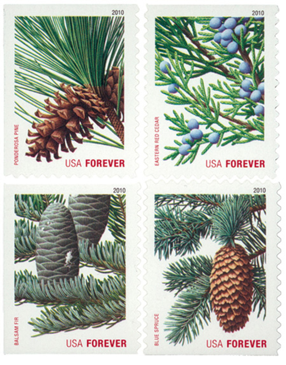 There's a new holiday-themed computer-vended forever stamp