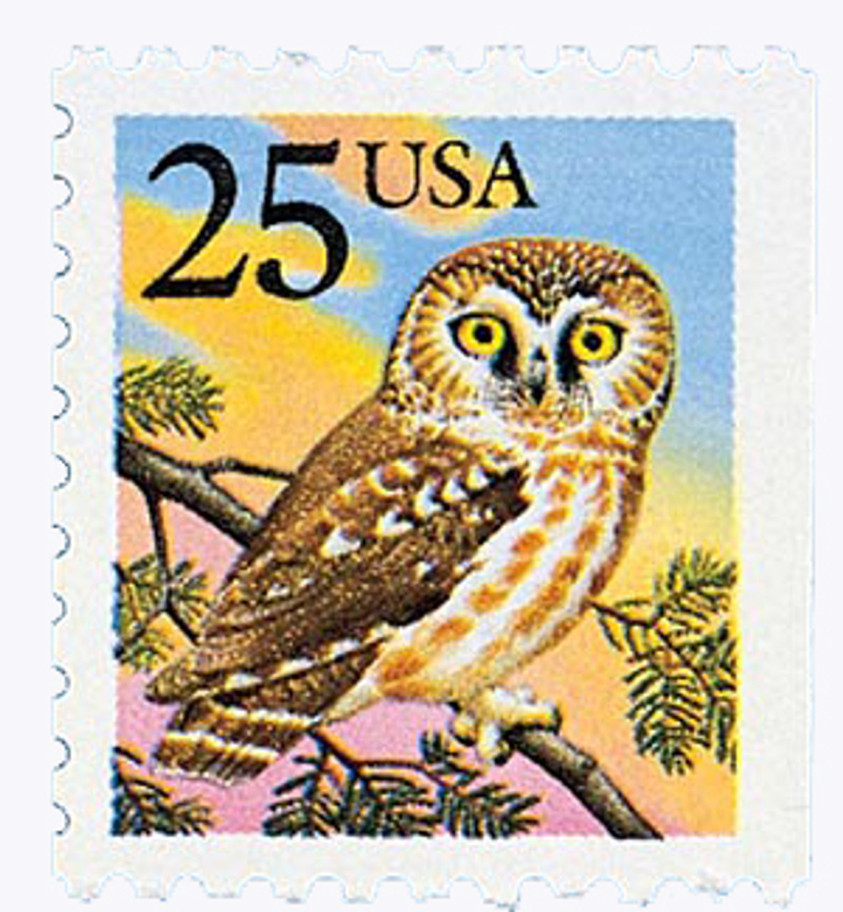 Scm-209 Medium Round Stamp - Owl