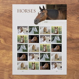 Monday June 17th five brand new US stamps honoring horses were issued by the USPS  