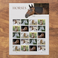 Monday June 17th five brand new US stamps honoring horses were issued by the USPS  