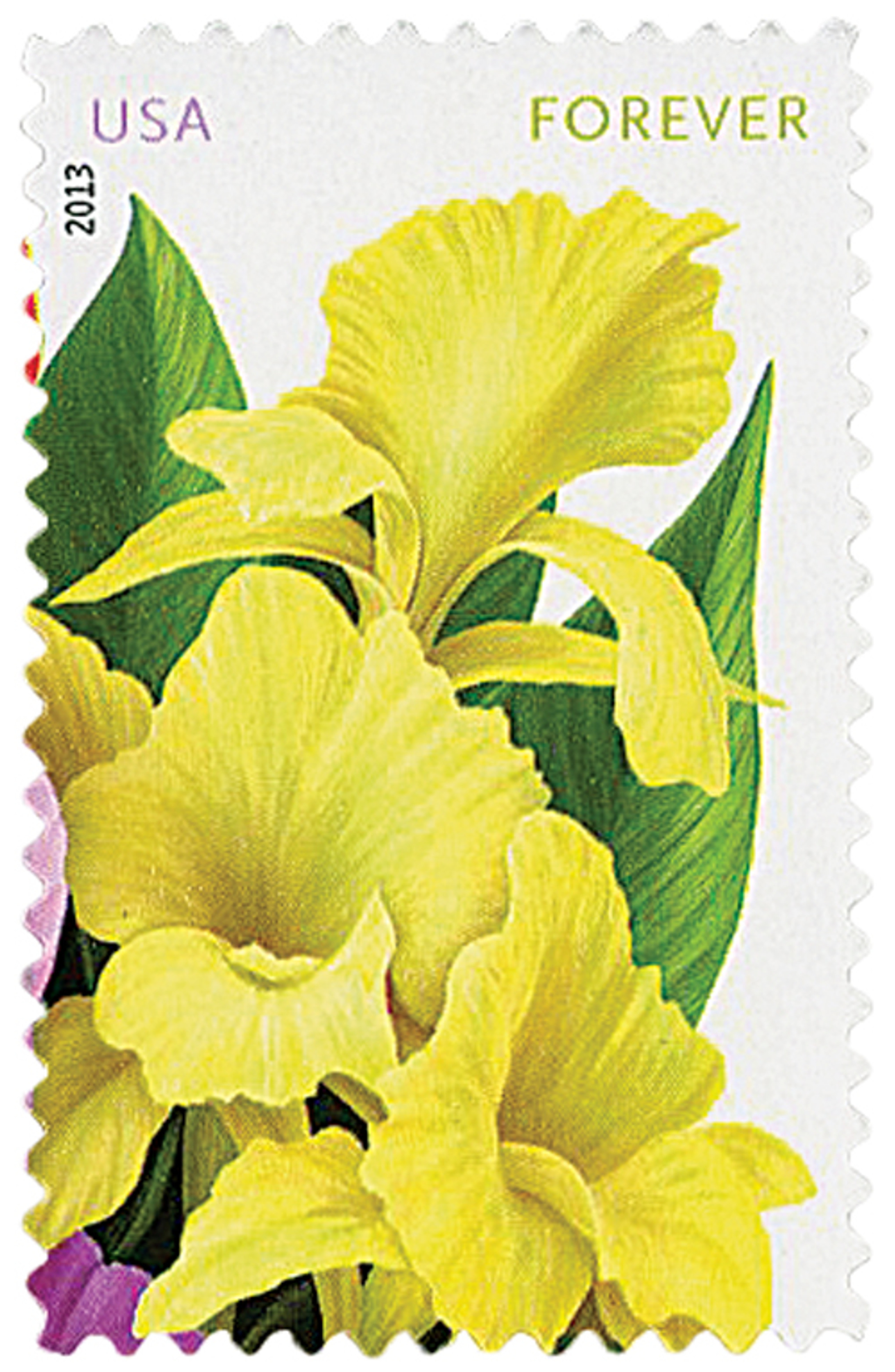 4751 2013 FirstClass Forever Stamp La Florida Yellow Cannas 4751 2013 FirstClass Forever Stamp La Florida Yellow Cannas
