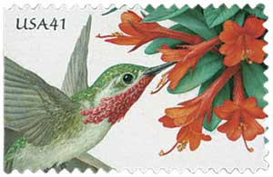 4154 2007 41c Pollination Hummingbird and Trumpet Flower Mystic