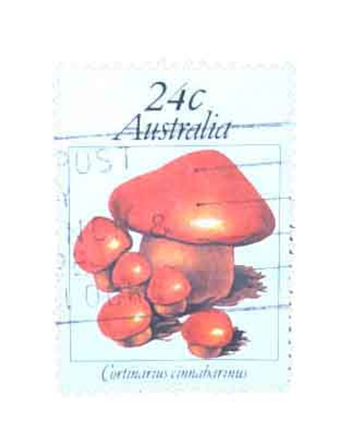 806  - 1981 Australia