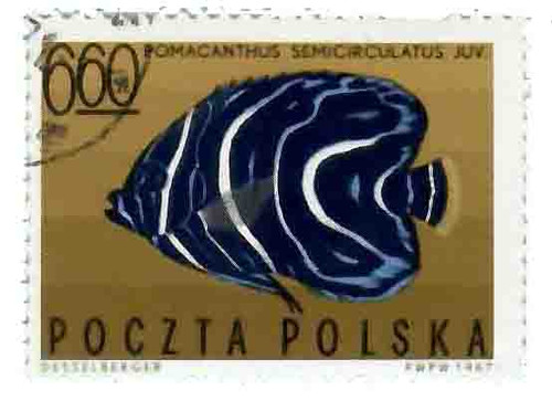 1499 - 1967 Poland