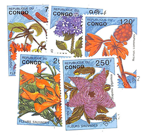 1016-20 - 1993 Congo, People's Republic