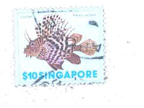 275  - 1977 Singapore