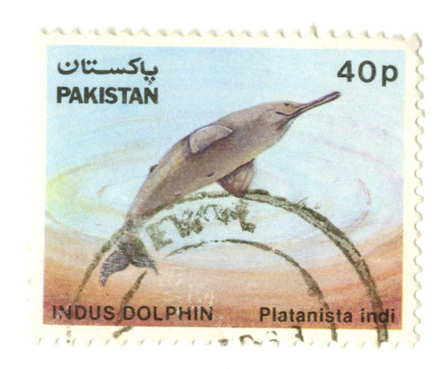 568 - 1982 Pakistan