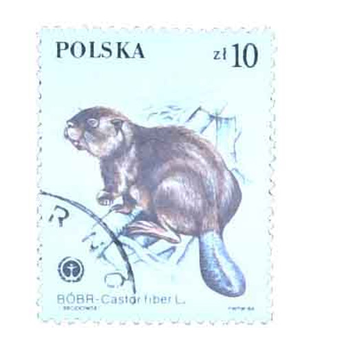 2653  - 1984 Poland