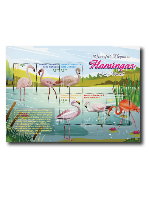 MFN465  - 2021 $3.50 Flamingos of the World, Mint Sheet of 6, Grenadines