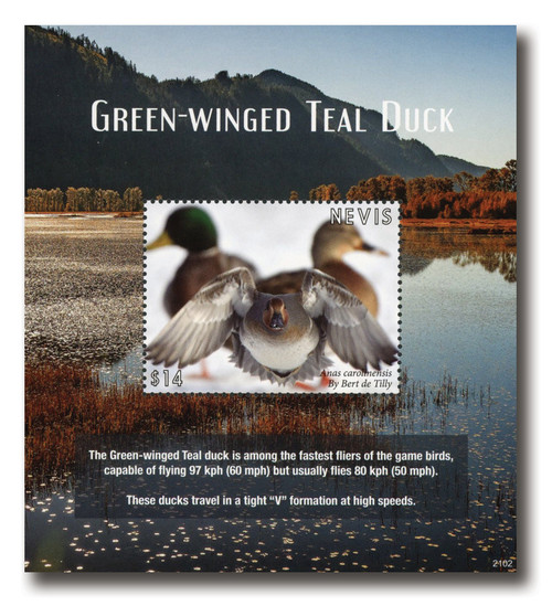 MFN512  - 2021 $14 Green-winged Teal Duck, Mint Souvenir Sheet, Nevis