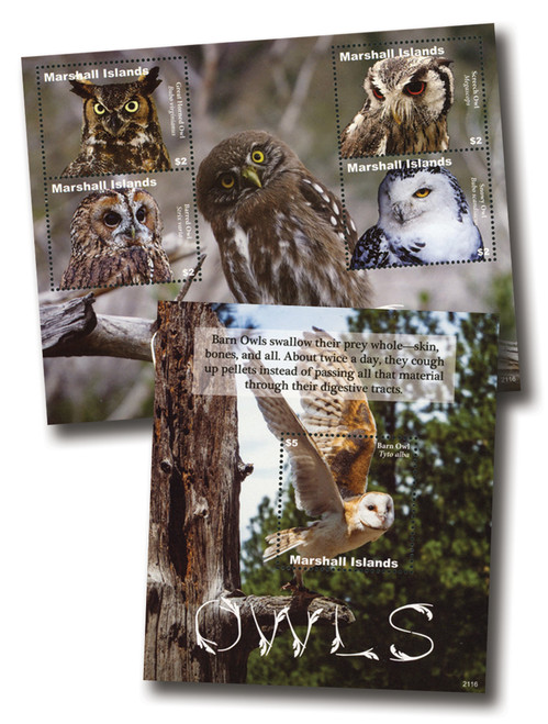 MFN542  - 2021 Owls, Mint Sheet of 4 & Mint Souvenir Sheet, Marshall Islands