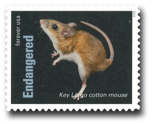 5799h  - 2023 First-Class Forever Stamp - Endangered Species: Key Largo Cotton Mouse