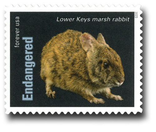 5799i  - 2023 First-Class Forever Stamp - Endangered Species: Lower Keys Marsh Rabbit