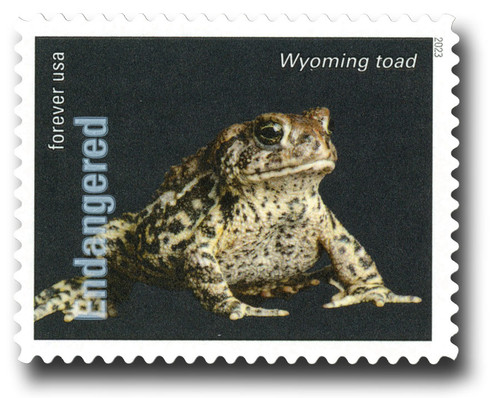 5799j  - 2023 First-Class Forever Stamp - Endangered Species: Wyoming Toad