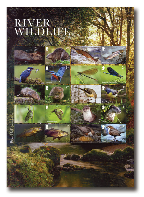 MFN571  - 2023 River Wildlife Mint Sheet of 10, Great Britain