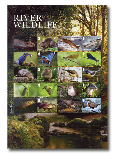 MFN571  - 2023 River Wildlife Mint Sheet of 10, Great Britain