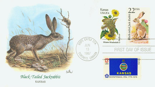 2305 FDC - 1987 22c North American Wildlife: Black-tailed Jack Rabbit