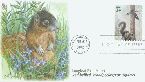 3611c FDC - 2002 34c Longleaf Pine Forest: Fox Squirrel and Woodpecker