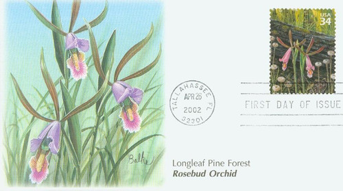 3611i FDC - 2002 34c Longleaf Pine Forest: Rosebud Ochid and Southern Toad