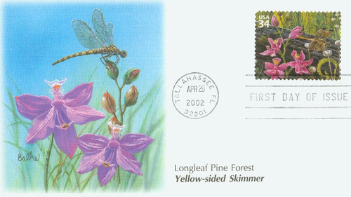 3611j FDC - 2002 34c Longleaf Pine Forest: Grass and Pink Orchid