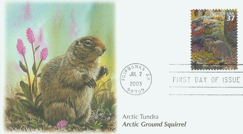 3802g FDC - 2003 37c Arctic Tundra: Ground Squirrel