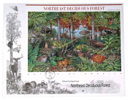 3899 FDC - 2005 37c Nature of America: Northeast Deciduous Forest