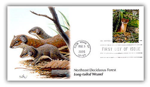 3899f FDC - 2005 37c Northeast Deciduous Forest: Long-tailed Weasel