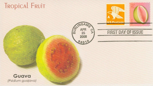 4257 FDC - 2008 27c Tropical Fruit: Guava