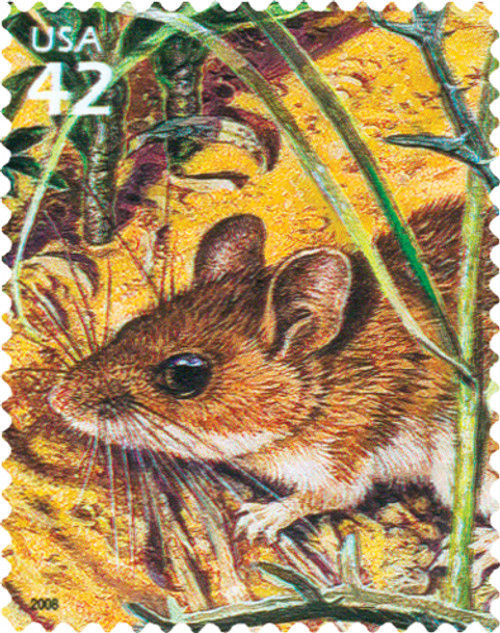 4352h FDC - 2008 42c White-footed Mouse
