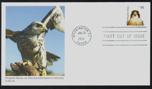 4609 FDC - 2012 85c Birds of Prey: Peregrine Falcon