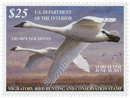 RW83 PB - 2016 $25 Federal Duck Stamp - Trumpeter Swans Hunting Permit