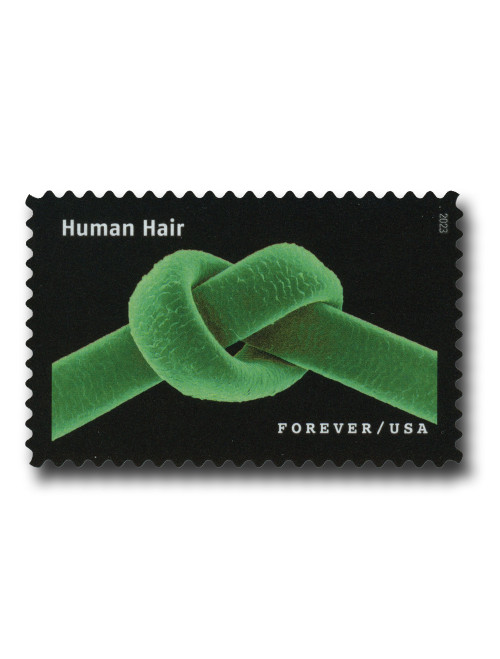 5802c  - 2023 First-Class Forever Stamp - Life Magnified: Human Hair