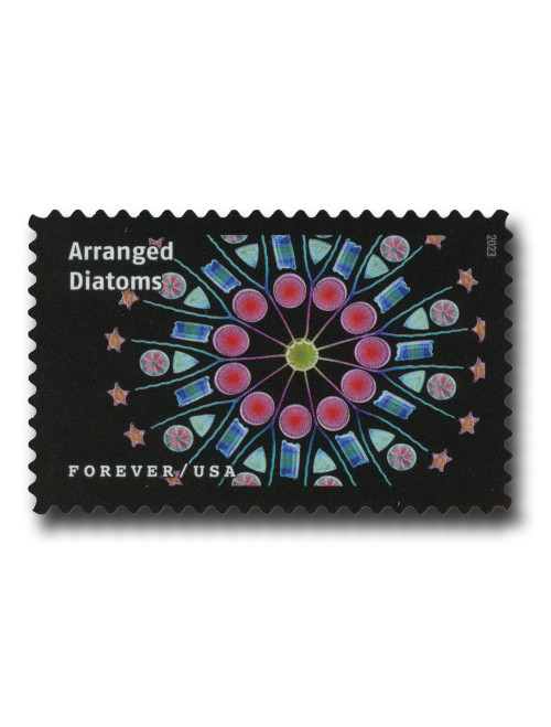 5802e  - 2023 First-Class Forever Stamp - Life Magnified: Arranged Diatoms