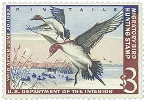 RW29  - 1962 $3.00 Federal Duck Stamp - Pintail Drakes