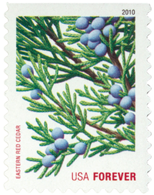 4479  - 2010 First-Class Forever Stamp -  Holiday Evergreens: Eastern