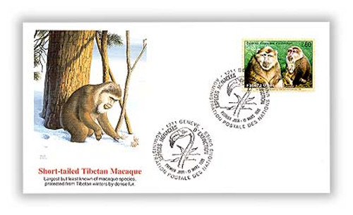 7268521  - 1998 F.s. 0,80 Endangered Species-Macaque