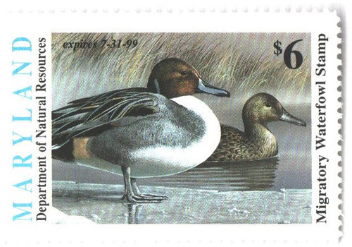 SDMD25  - 1998 Maryland State Duck Stamp