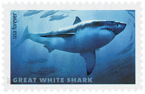 5227  - 2017 First-Class Forever Stamp - Sharks: Great White Shark