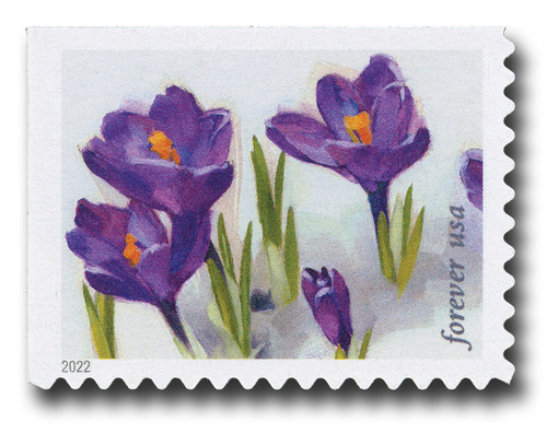 US 2022 Forever Stamps Snowy Beauty Flowers Booklet 20 Stamps Scotts  #5736-1545