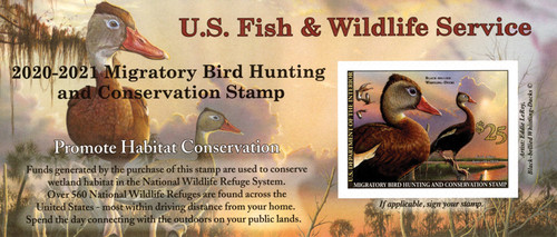 RW87A  - 2020 $25 Black-Bellied Whistling Duck Hunting Permit - Self-adhesive pane