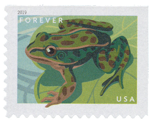 5396  - 2019 First-Class Forever Stamp - Frogs: Northern Leopard Frog