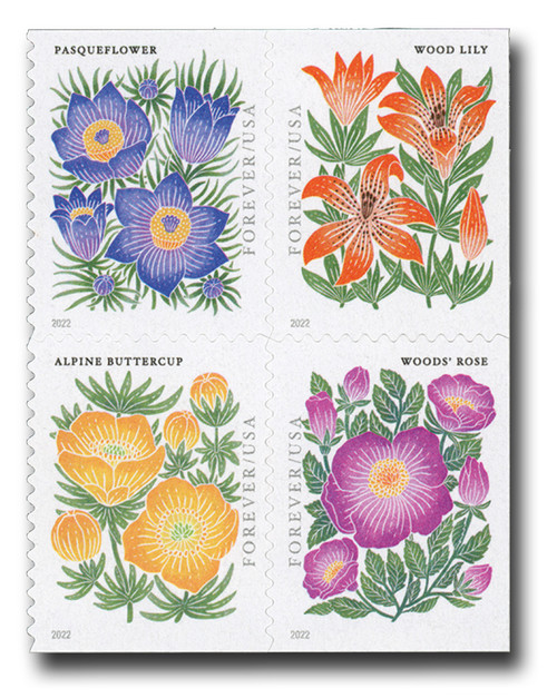 2022 Global Forever International Mail African Daisy Postage Stamps (1  Sheet, 10 Stamps)