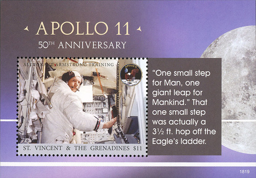 M12443  - 2018 $11 Apollo 11 50th Anniversary souvenir sheet of 1