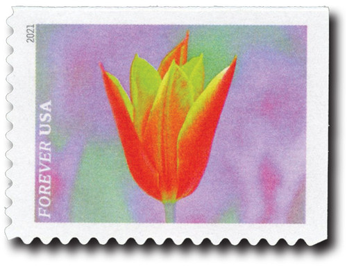 5559  - 2021 First-Class Forever Stamps - Garden Beauty: Orange and Yellow Tulip