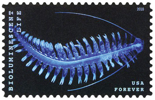 5272  - 2018 First-Class Forever Stamp - Bioluminescent Life: Marine Worm (Plankton)