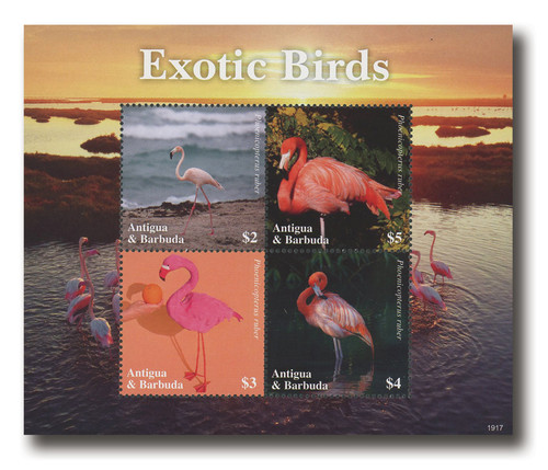 MFN310  - 2019 $2 Exotic Birds: Flamingos, Antigua