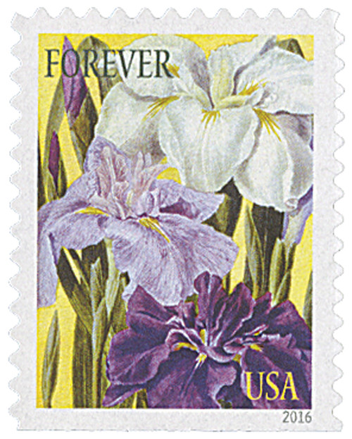 5048  - 2016 First-Class Forever Stamp - Botanical Art: Japanese Irises