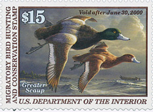 RW66  - 1999 $15 Federal Duck Stamp - Greater Scaup